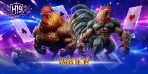 SV368 đá gà
